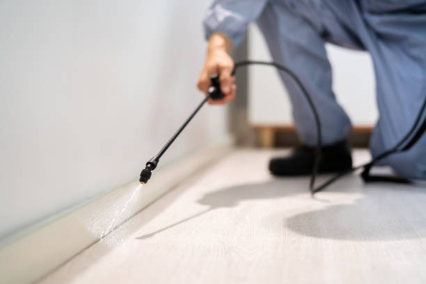 Certified termite inspector examining foundation in Kekoskee
