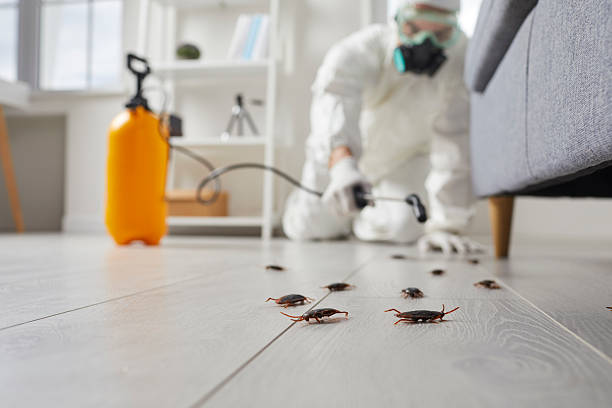 Post-Treatment Bed Bug Interceptor Monitoring in Kekoskee