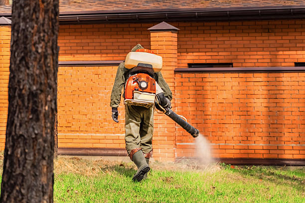 Bed Bug Clearance Verification and Documentation in Kekoskee